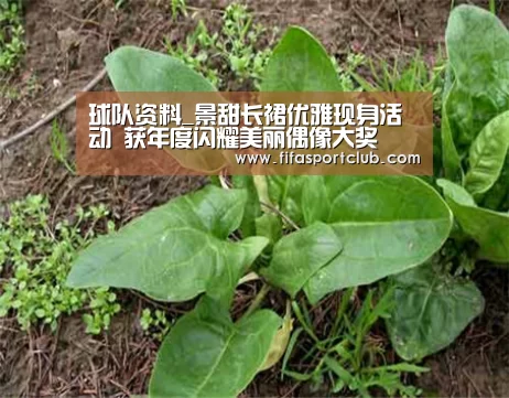 新闻快讯