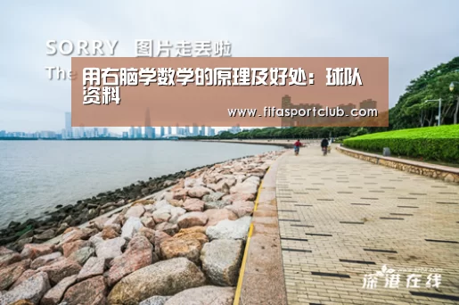 用右脑学数学的原理及好处:球队资料(图1) 球队资料